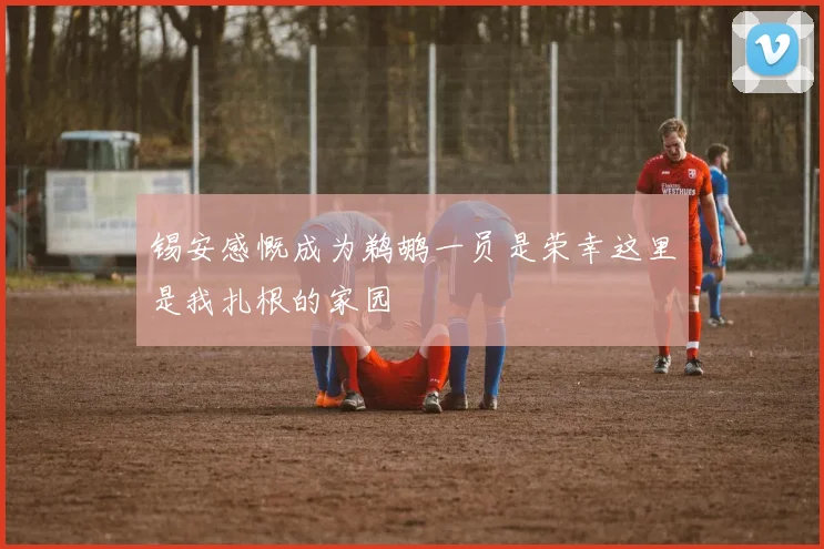 锡安感慨成为鹈鹕一员是荣幸这里是我扎根的家园
