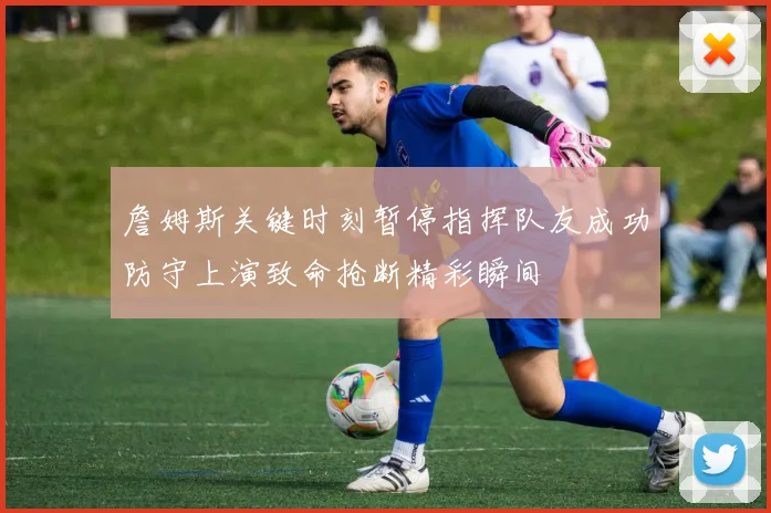 詹姆斯关键时刻暂停指挥队友成功防守上演致命抢断精彩瞬间