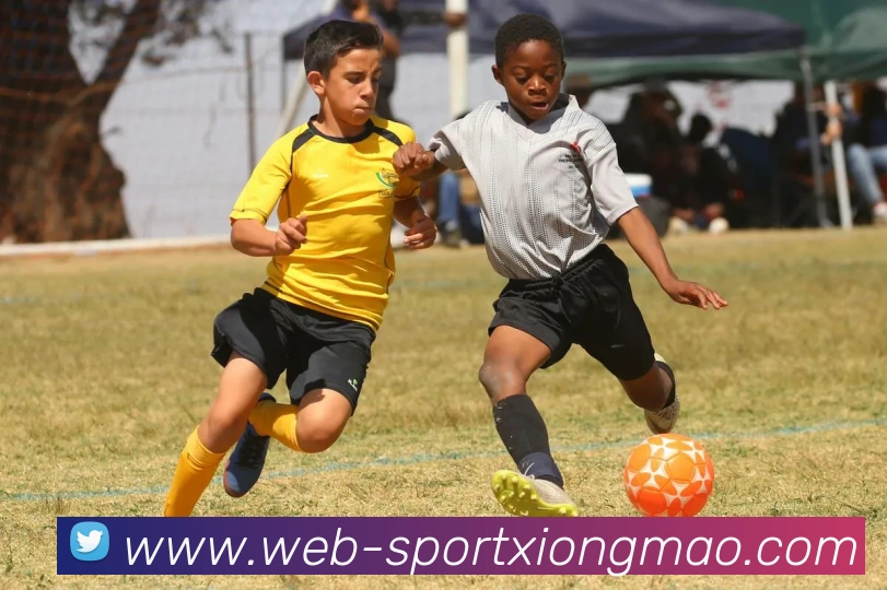 熊猫体育发展历程