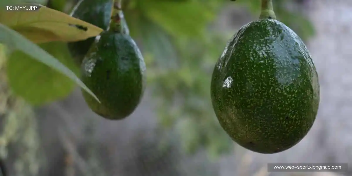 沸腾吧!🏀🏆 体育赛事,点燃你的无限可能!